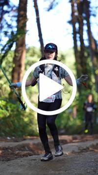 BIB:  <button type="button" onclick="openModal(26788153)" class="btn btn-primary btn-sm float-right" data-toggle="modal" data-target=".modal-high-quality">
                <i class="fa fa-download"></i> Download
                </button>